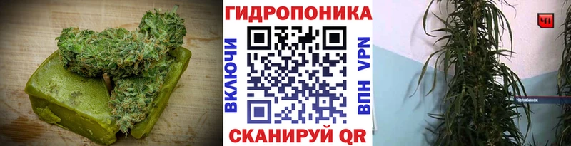 где купить   Татарск  Cannafood конопля 