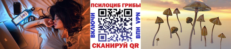 Псилоцибиновые грибы GOLDEN TEACHER Татарск