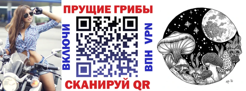 как найти закладки Татарск Галлюциногенные грибы Magic Shrooms